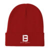 Benson Systems Embroidered Knit Beanie - Image 4