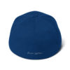 Benson B Front Benson Systems Back Structured Twill Cap (Partial 3D Puff) - Image 12