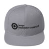 TIC Black Embroidery Snapback Hat - Image 9