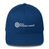 TIC Structured Twill Cap - Image 7