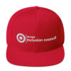 TIC White Embroidery Snapback Hat - Image 16