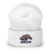 Cuffed Beanie - Image 5