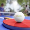 A to Z Valley Landscaping Ping Pong Balls, 6 pcs - Image 3