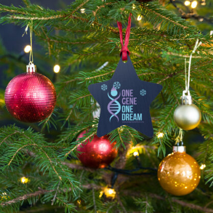 INADcure One Gene One Dream Winter Wooden ornaments - Image 2