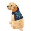 INADcure Rare Disease Day 2023 QR Code Scan to Donate Dog Hoodie