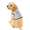 INADcure Seven For Sage Dog Hoodie