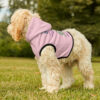 INADcure Seven For Sage Dog Hoodie Pink - Image 7