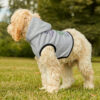 INADcure Seven For Sage Dog Hoodie - Image 7
