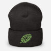 INADcure Seven for Sage Cuffed Beanie - Image 3