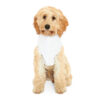 INADcure Ariya’s Wish Dog Hoodie - Image 4